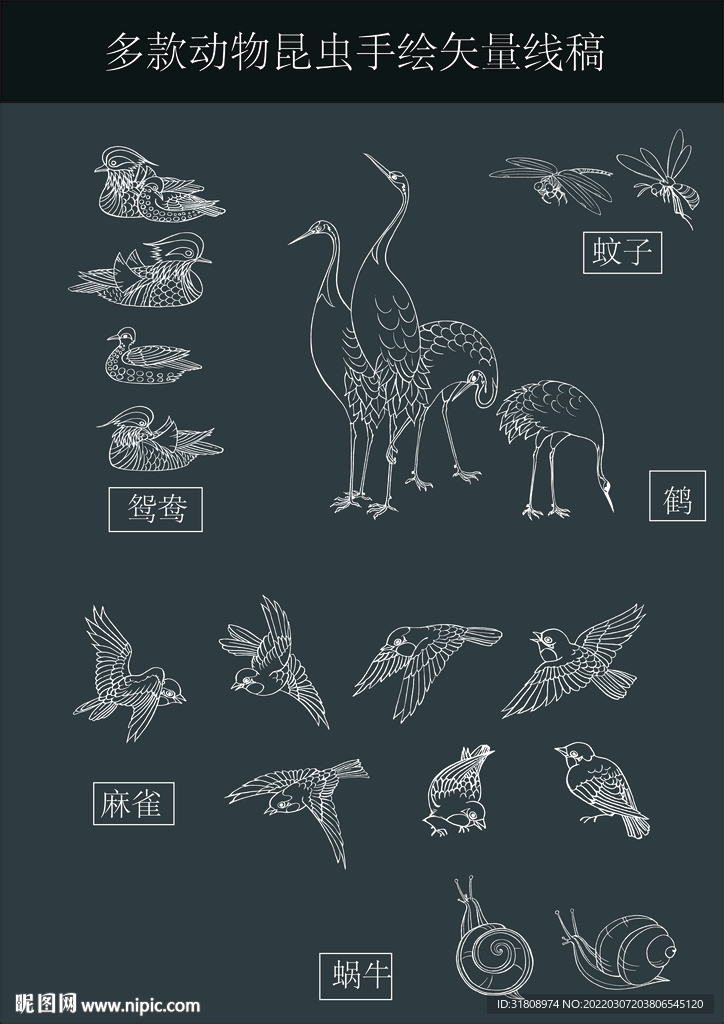 多款手绘动物的矢量线稿