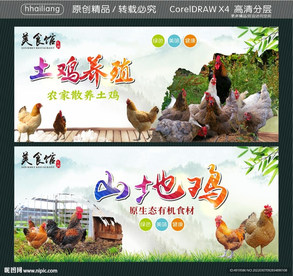 山地鸡 土鸡养殖