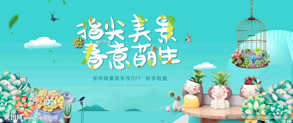 多肉种植活动图片