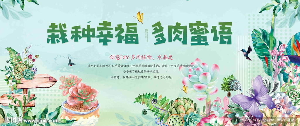 多肉种植活动图片