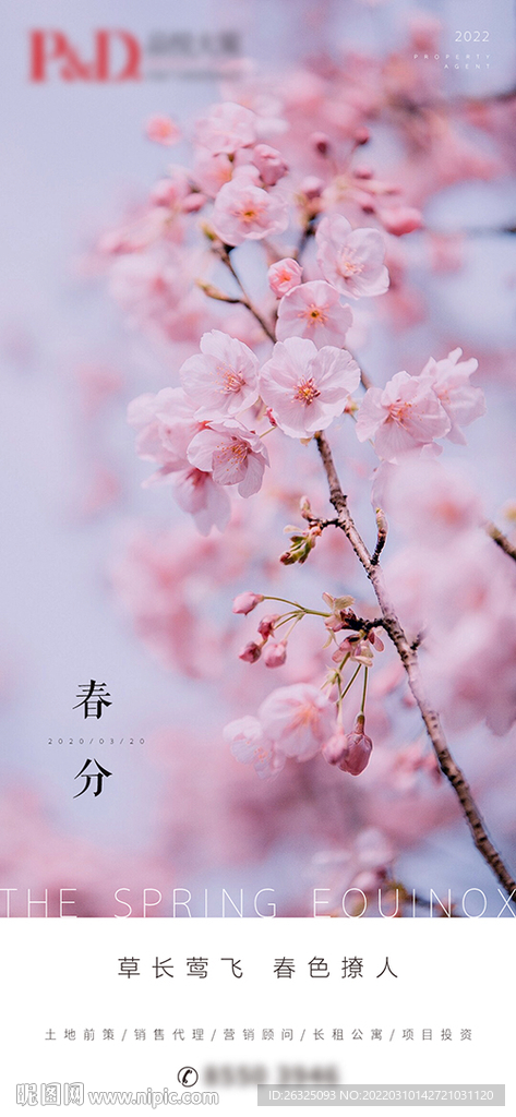 地产春分节气高端微信樱花桃花