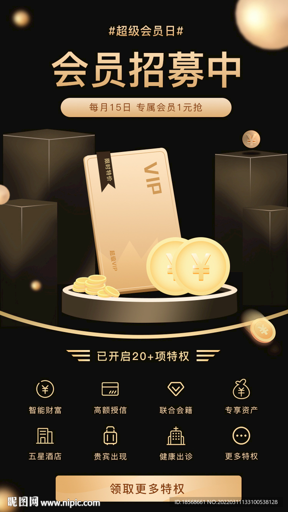 黑金色大气VIP会员特权权益