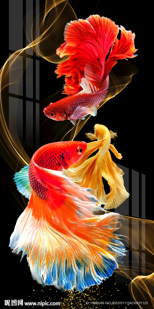 斗鱼孔雀鱼时尚玄关背景墙