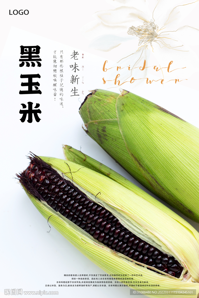 黑玉米海报 