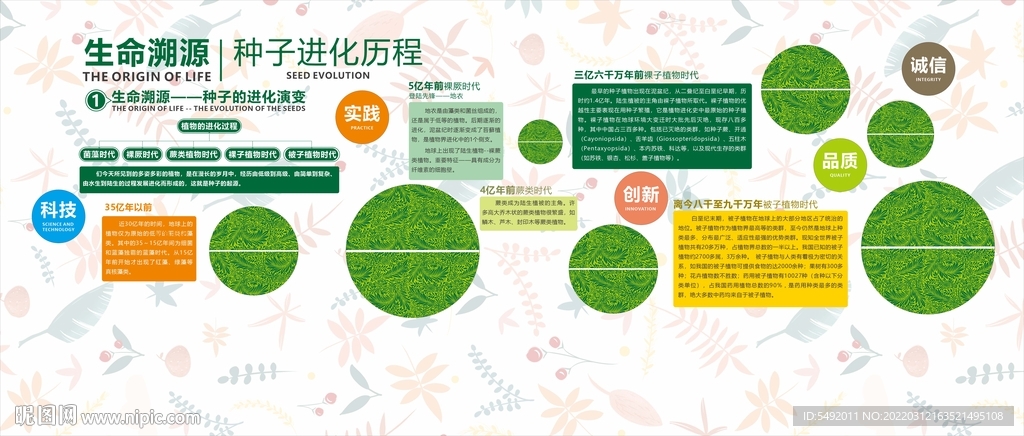 种子的进化历程