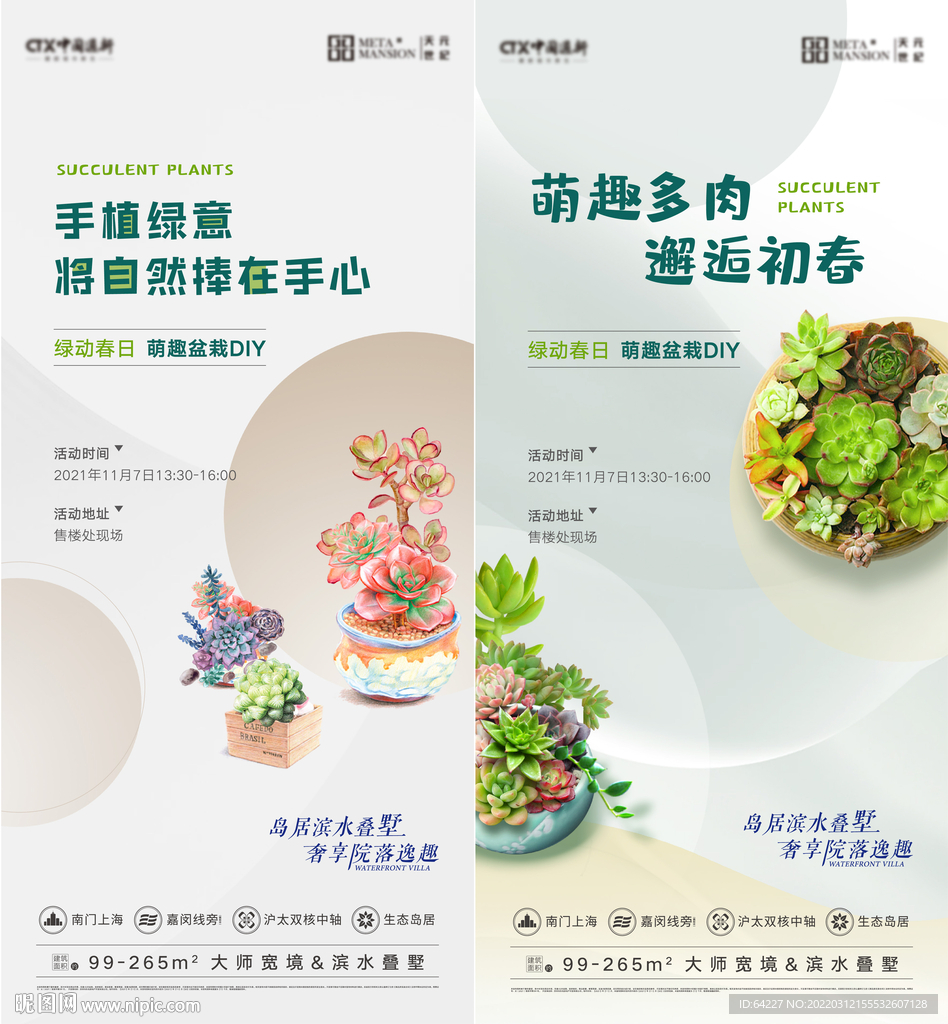 地产多肉DIY活动