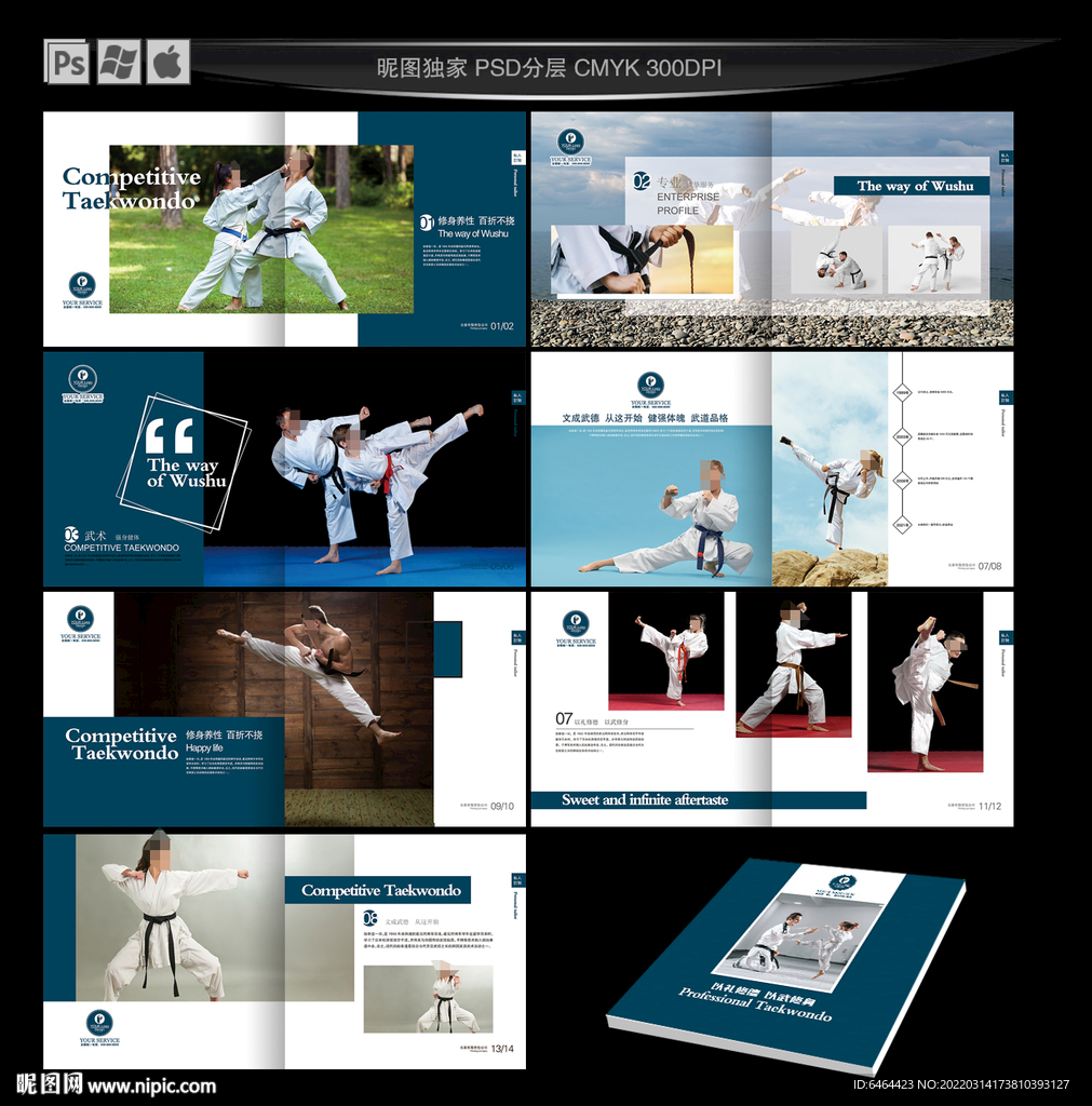 跆拳道画册