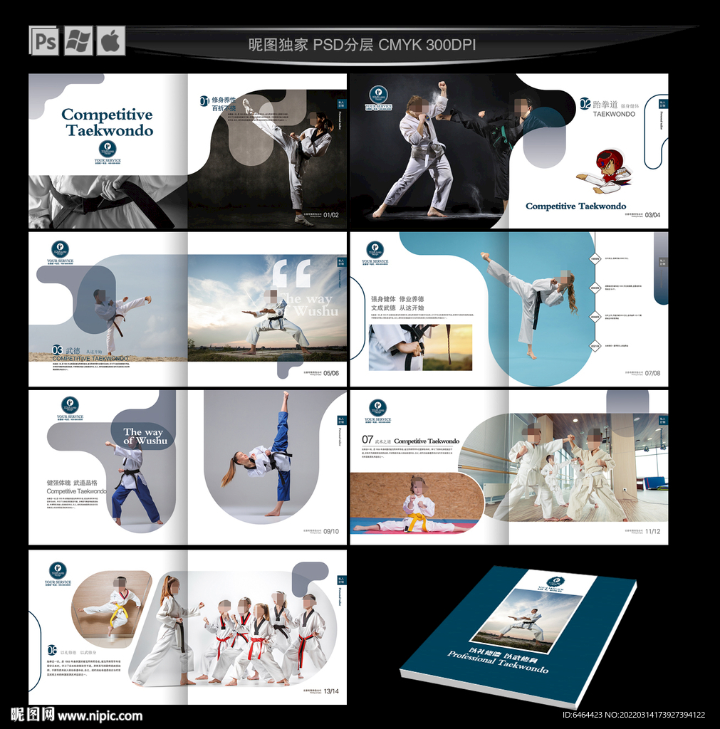 跆拳道画册