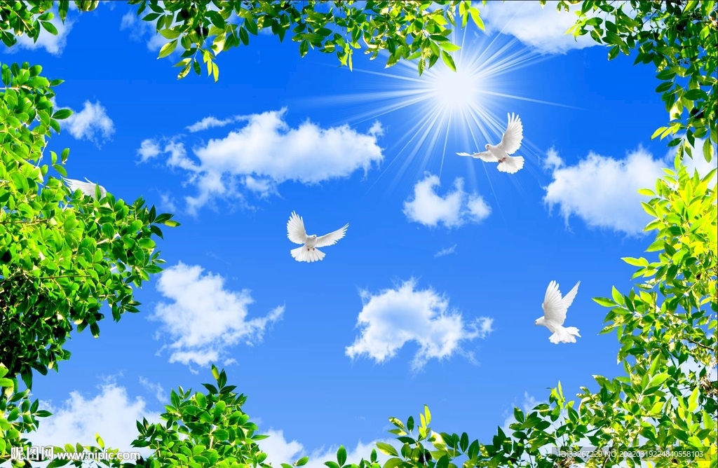 蓝天白云绿叶鸽子
