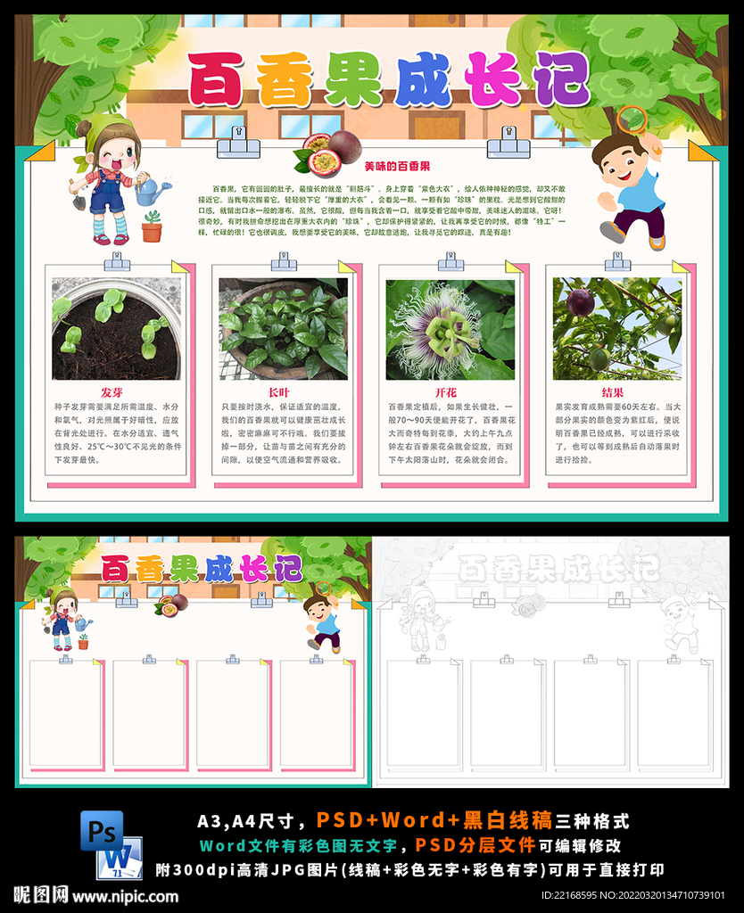 百香果成长记植物观察日记生长