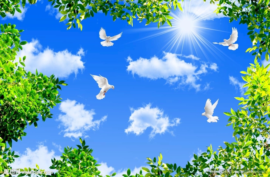 蓝天白云绿叶鸽子
