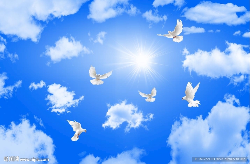 蓝天白云鸽子