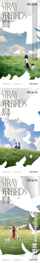 地产价值白鸽微信刷屏