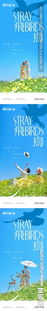 地产价值白鸽微信刷屏