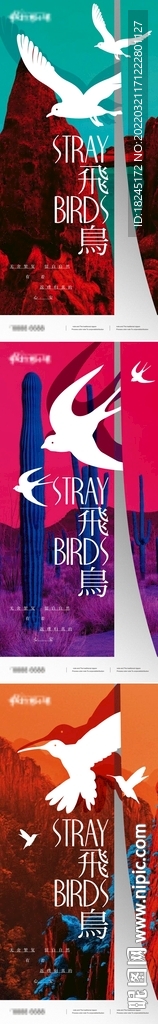 地产价值白鸽微信刷屏