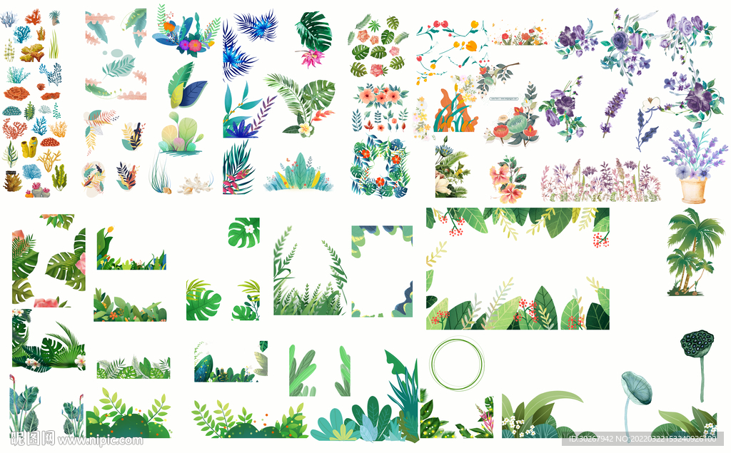 植物花卉插画绿植