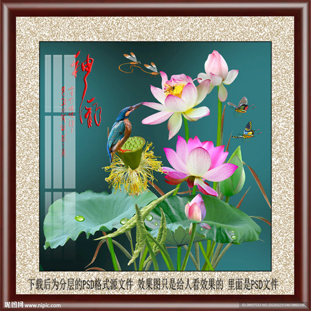 高清荷花方型装饰画