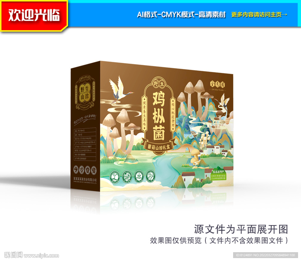鸡枞菌礼盒 鸡枞菌包装