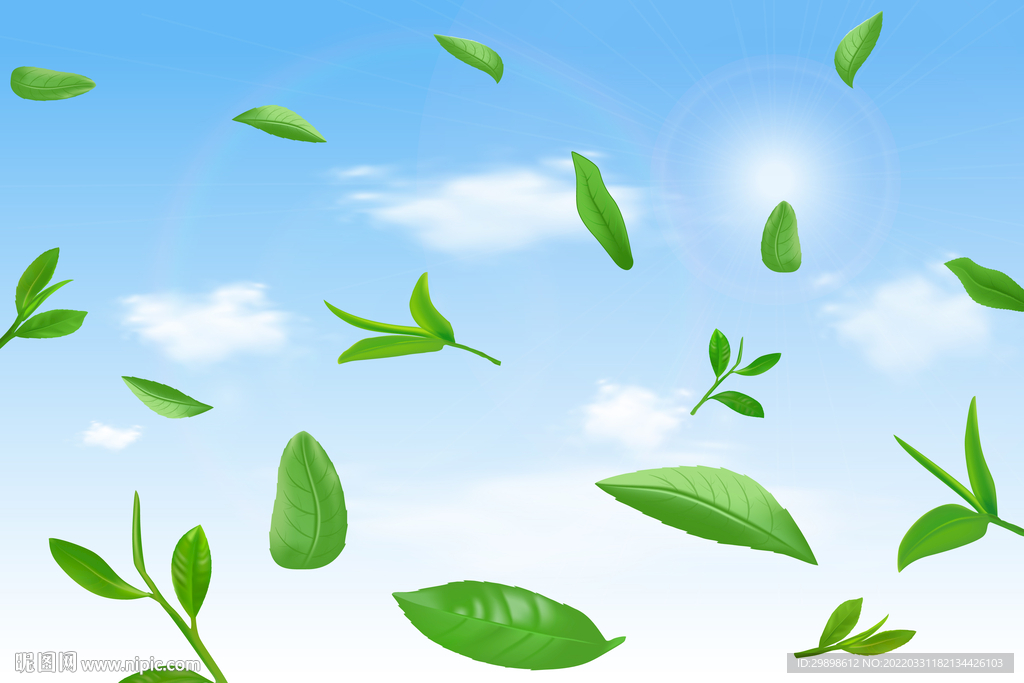 阳光蓝天白云绿茶叶子茶叶