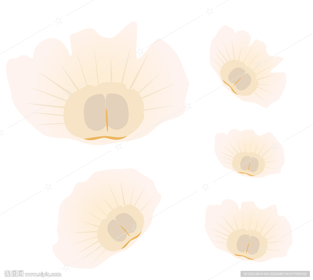 手绘木蝴蝶 玉蝴蝶