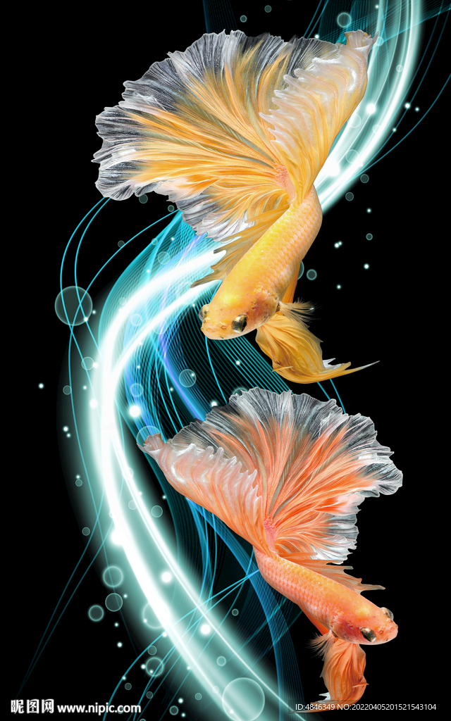 金鱼锦鲤玄关壁画装饰画