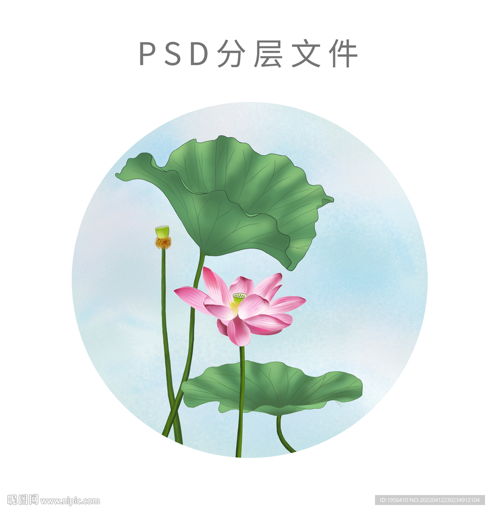 国潮插画荷花荷叶