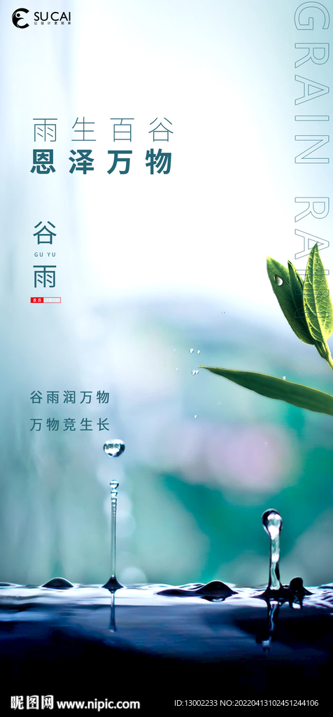 谷雨海报