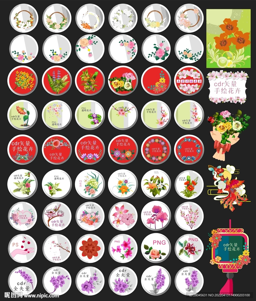 花卉花朵插画设计