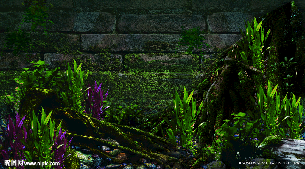 水族箱沉木背景高清