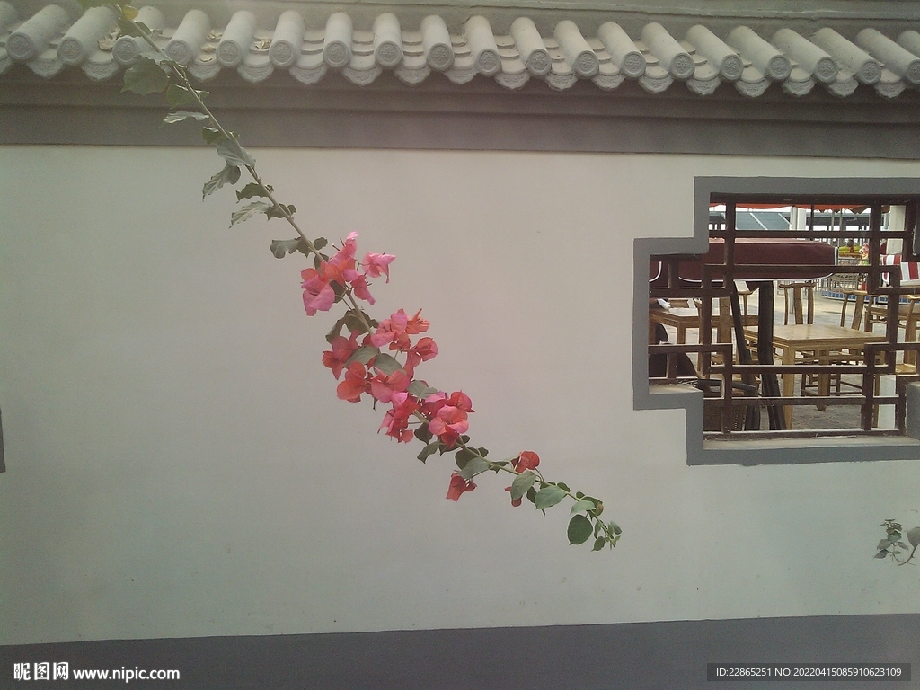 一枝红杏 花 蔷 窗