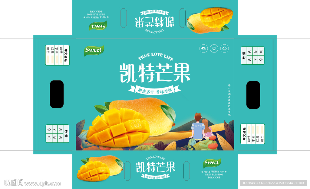 凯特芒果平面展开图