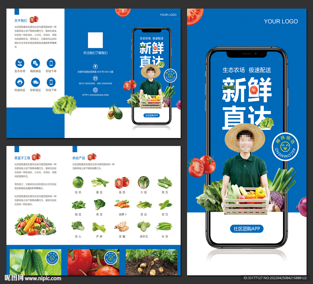 生鲜配送APP招商宣传三折页