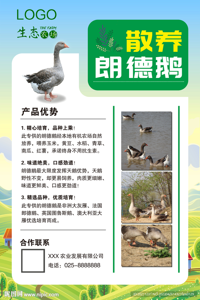 生态农场散养朗德鹅海报展板