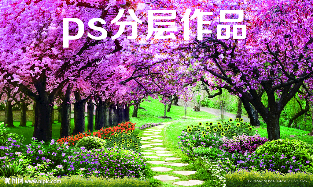 樱花小路 分层作品 浪漫樱花 