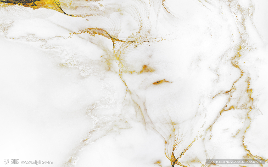 豪华 新金线鱼肚白 TIF合层