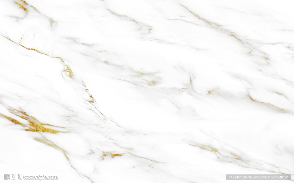 高端新金线鱼肚白 TIF合层