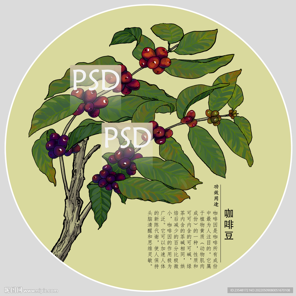 咖啡豆包装手绘装饰画