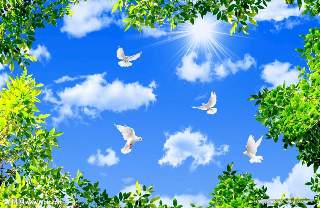 蓝天白云绿叶鸽子