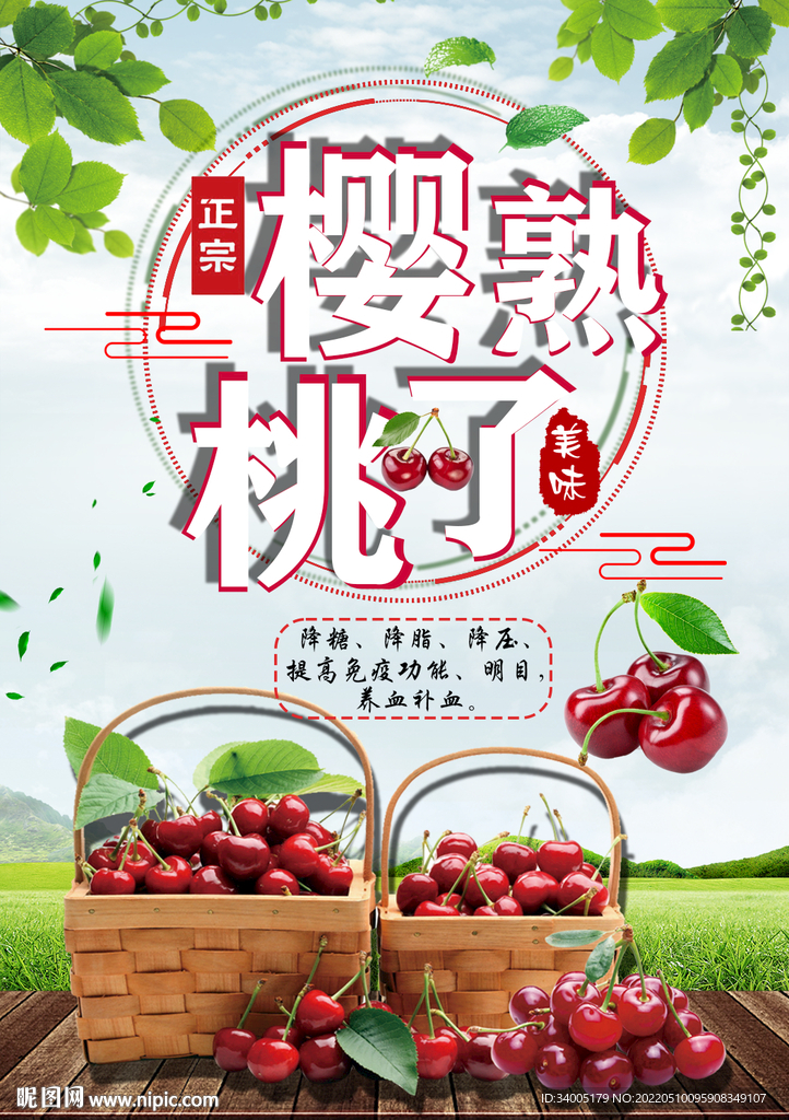 樱桃采摘 新鲜樱桃 