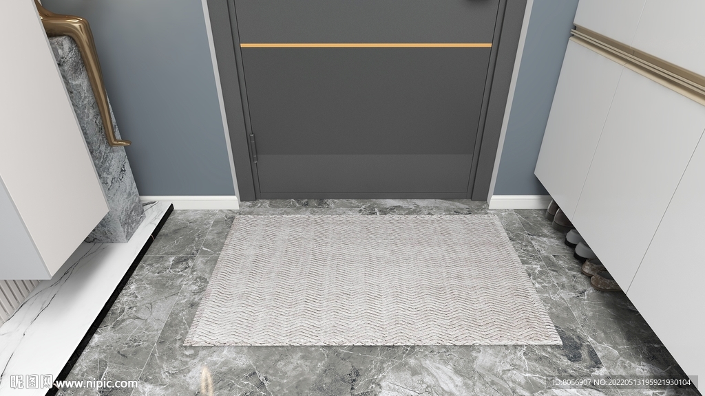 室内入户门地垫效果图