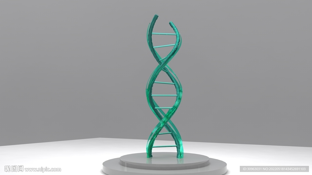 DNA雕塑