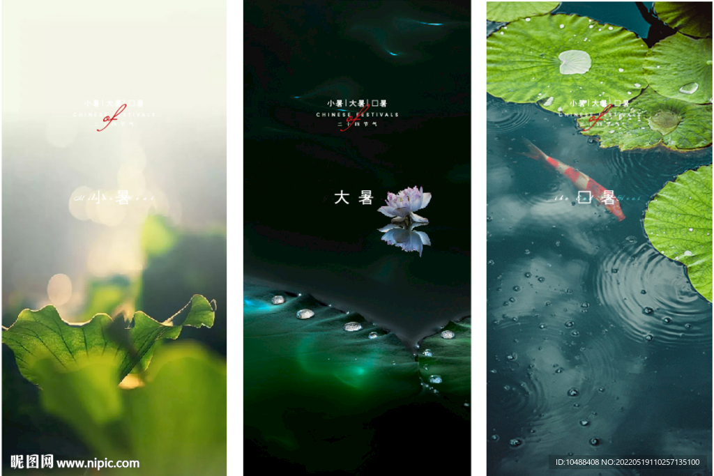 大暑小暑处暑节气海报