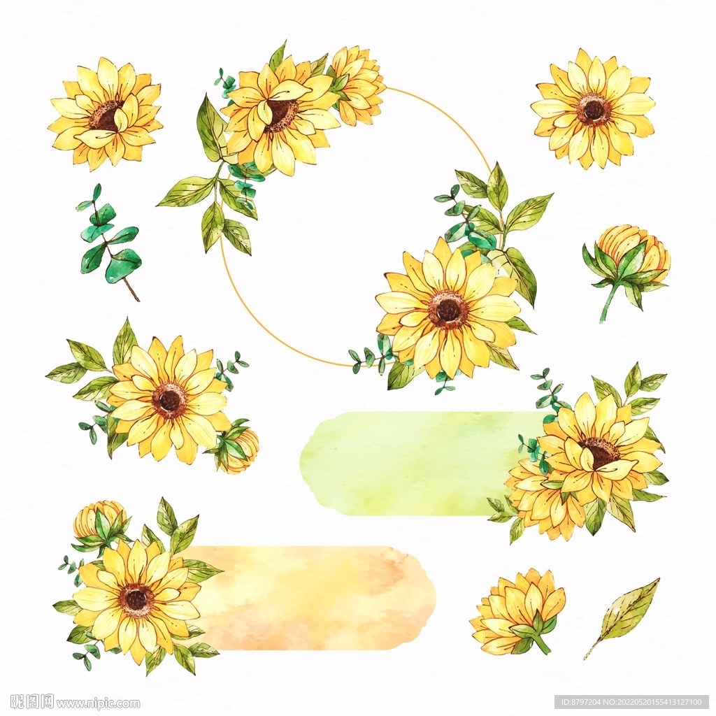 手绘 水彩 向日葵