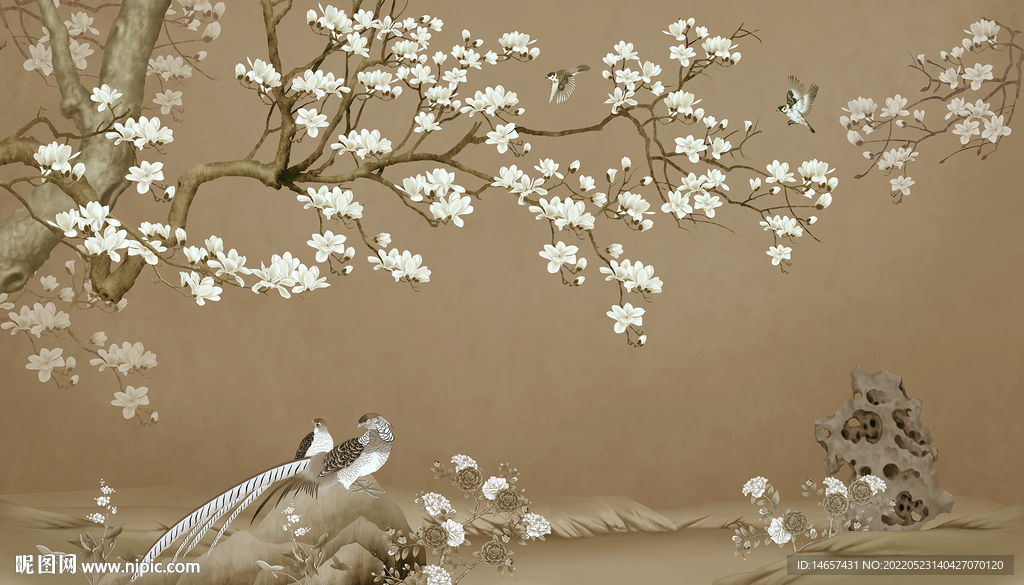 复古素材古装素材 工笔画孔雀