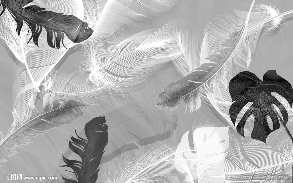 羽毛欧式无框墙画 TIF分层