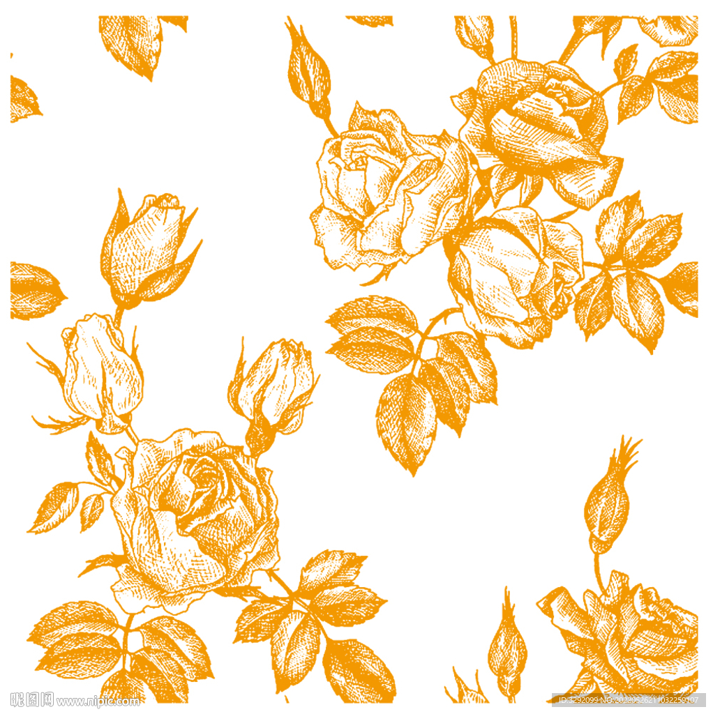 鲜花 蔷薇 玫瑰