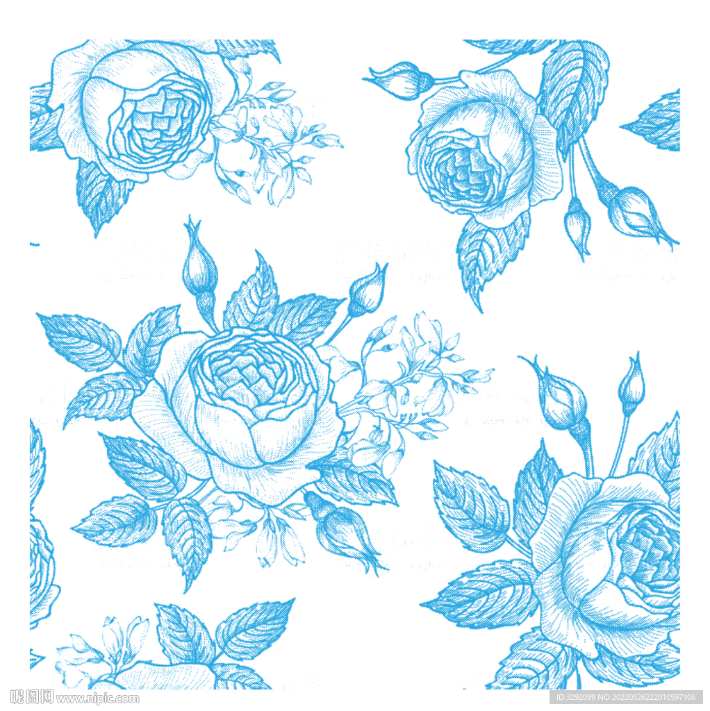 鲜花 蔷薇 玫瑰