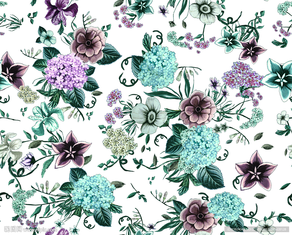 大牌手绘花 绣球花