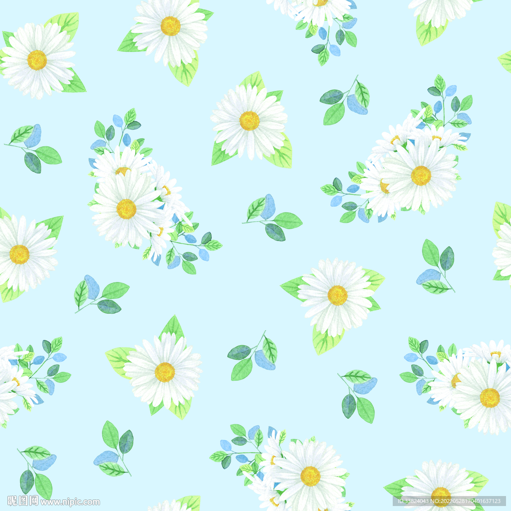 大牌小菊花 雏菊