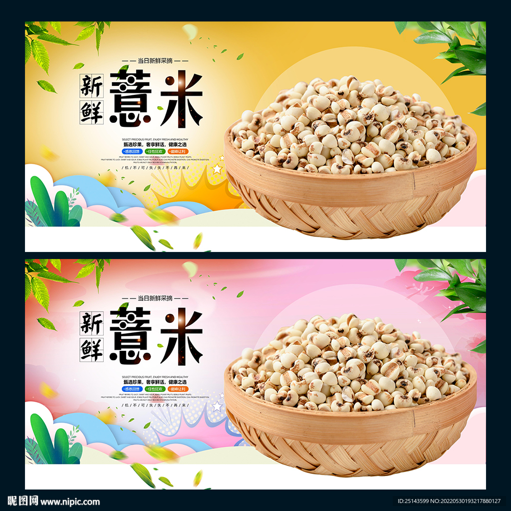 薏米